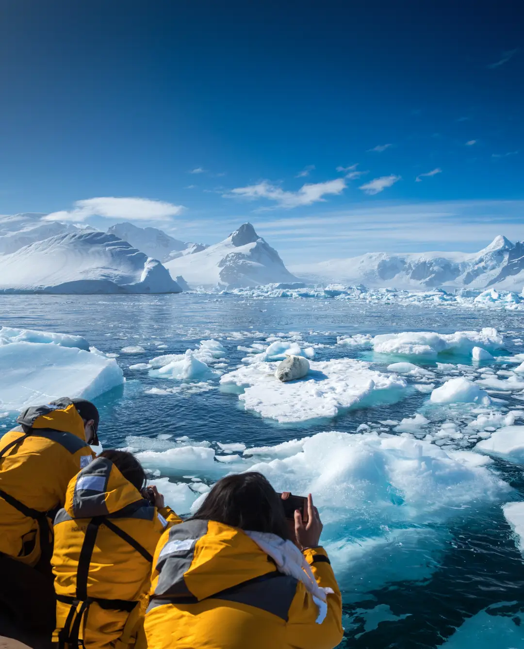 Delegates photographing icebergs from an expedition boat